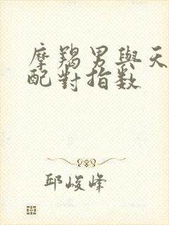 摩羯男与天秤女配对指数