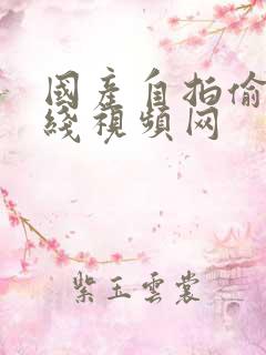 国产自拍偷拍在线视频网