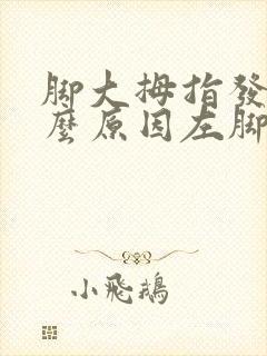 脚大拇指发麻什么原因左脚