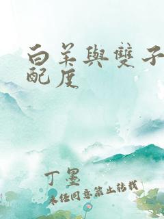 白羊与双子的匹配度