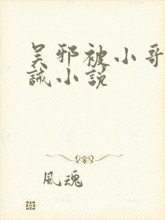 吴邪被小哥打训诫小说