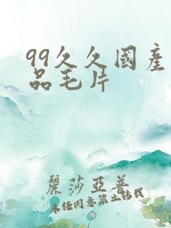 99久久国产精品毛片