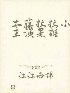 工藤拉拉小侄女主演是谁