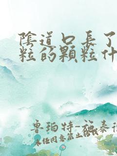 阴道口长了一粒粒的颗粒什么回事?