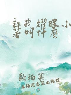 许我耀眼小说原著叫什么