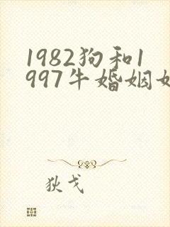 1982狗和1997牛婚姻如何