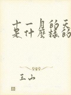 十一月的天蝎女是什么样的