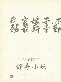 我家娘子,不对劲最新章节