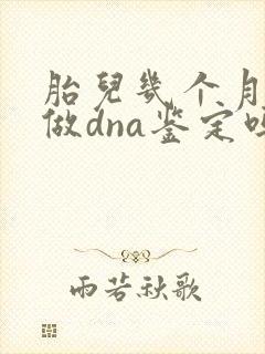 胎儿几个月可以做dna鉴定吗