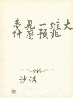 梦见一堆大便是什么预兆