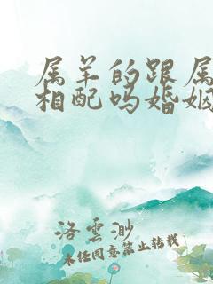 属羊的跟属蛇的相配吗婚姻