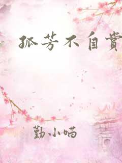 孤芳不自赏小说