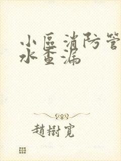 小区消防管道漏水查漏