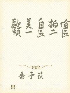 欧美自拍偷拍视频一区二区