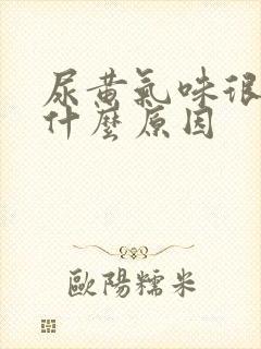 尿黄气味很重是什么原因