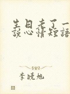 生日老了一岁说说心情短语