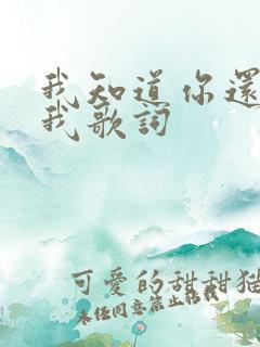 我知道你还爱着我歌词