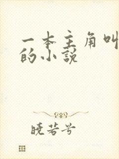 一本主角叫陈舟的小说