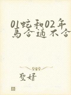 01蛇和02年马合适不合适