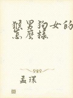 猴男狗女的婚姻怎么样