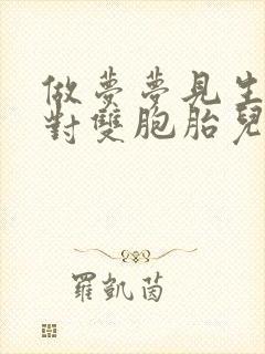 做梦梦见生了一对双胞胎儿子