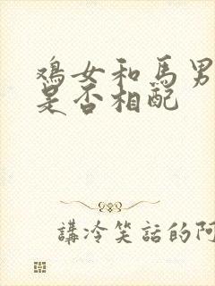 鸡女和马男婚姻是否相配