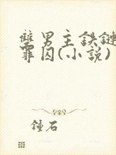 双男主铁链吊刑罪囚(小说)