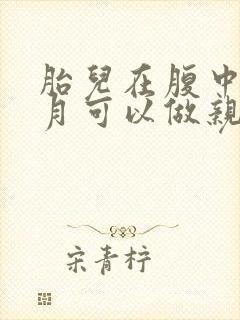 胎儿在腹中几个月可以做亲子鉴定