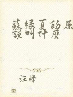 苏绿夏的原著小说叫什么