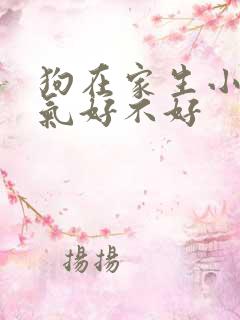 狗在家生小狗运气好不好