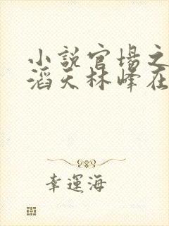 小说官场之权势滔天林峰在线阅读