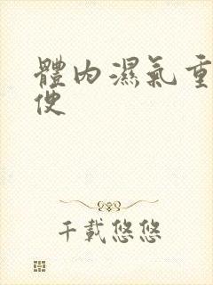 体内湿气重不排便