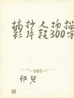 摘抄人物描写精彩片段300字