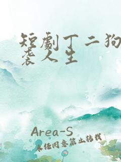 短剧丁二狗的逆袭人生