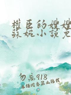 权臣的嫂嫂by苏婉小说免费阅读笔趣阁