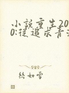 小说重生2000:从追求青涩校花同桌开始全文