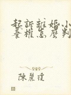 起诉离婚小孩抚养权怎么判