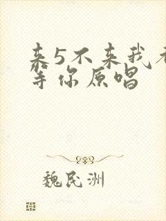 来5不来我都在等你原唱