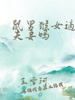 鼠男猴女适合做夫妻吗