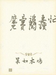 魔帝追妻忙全文免费阅读