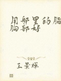 用哪里的脂肪填胸部好