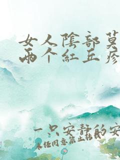 女人阴部莫名起两个红丘疹咋回事