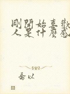 刚开始喜欢一个人是什么感觉