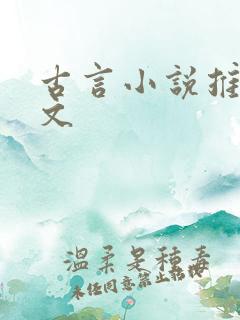 古言小说推荐甜文