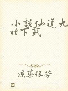 小说仙道九绝txt下载