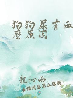 狗狗尿有血是什么原因