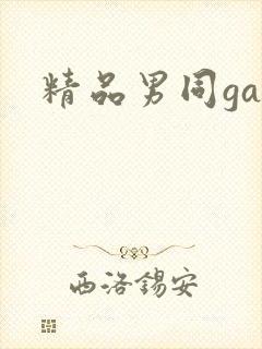 精品男同gay