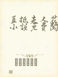 直抵夫人花心的小说免费阅读全