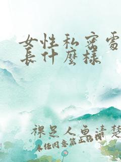 女性私密处应该长什么样