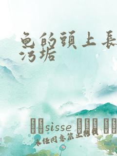 龟的头上长白色污垢